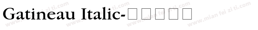 Gatineau Italic字体转换